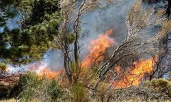 Hatay'da orman yangını