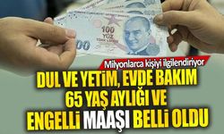Engelli, Evde Bakım, Dul, Yetim ve 65 Yaş Maaşları Belli Oldu
