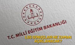 LGS 2025 Sonuçları İçin Heyecan Dorukta: Gözler MEB Duyurusunda!