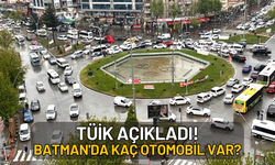 TÜİK Açıkladı! Batman'da Kaç Otomobil Var?