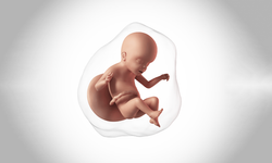 22. haftalik gebelikte cinsiyet yanılması