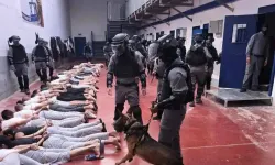 75 êsîrên Filistînî di zindanên sîyonîst de şehîd bûn