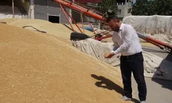Hububat pazarı hareketli ama çiftçi girdi maliyetlerinden dertli