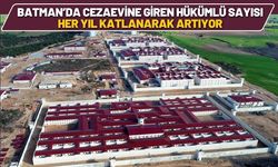 Batman’da Cezaevine Giren Hükümlü Sayısı Her Yıl Katlanarak Artıyor