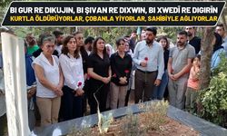 Bi gur re dikujin, bi şivan re dixwin, bi xwedi re digirin