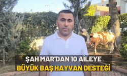Şah Mar'dan 10 aileye büyük baş hayvan desteği