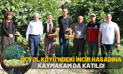 Üçyol Köyü’ndeki incir hasadına kaymakam da katıldı