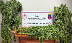 Uyuşturucu operasyonunda 9 kişi gözaltına alındı