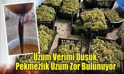 Üzüm Verimi Düşük, Pekmezlik Üzüm Zor Bulunuyor