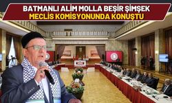 Batmanlı Alim Molla Beşir Meclis Komisyonunda Konuştu