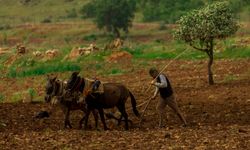 Batmanlı Çiftçiler Girdi Maliyetlerinden Endişeli