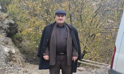 Sason’da Ceviz Toplarken Hayatını Kaybetti