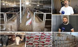 Besiciler Endişeli; Devlet Destek Vermezse Üretim Durabilir