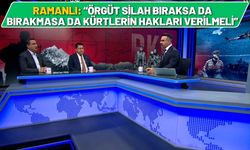 Ramanlı: “Örgüt Silah Bıraksa da Bırakmasa da Kürtlerin Hakları Verilmeli”