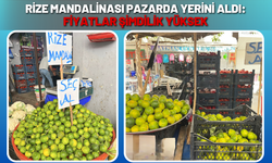 Rize Mandalinası Pazarda Yerini Aldı: Fiyatlar Şimdilik Yüksek
