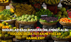 Soğuklar başlamadan önleminizi alın: Vücudu sıcak tutan meyveler hangileri?