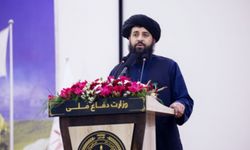 Afganistan: Pakistan'la yaşanılan gerginlikte Hindistan'ın rolü olduğu iddiaları asılsız