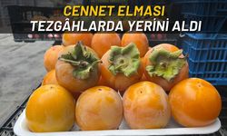 Cennet Elması Tezgâhlarda Yerini Aldı