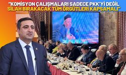 Komisyon Çalışmaları Sadece PKK’yi Değil Silah Bırakacak Tüm Örgütleri Kapsamalı
