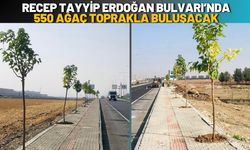 Batman Recep Tayyip Erdoğan Bulvarı’nda 550 Ağaç Toprakla Buluşacak