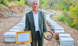 Batman'ın doğal balları organik üretimle öne çıkıyor