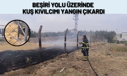 Beşiri Yolu Üzerinde Kuş Kıvılcımı Yangın Çıkardı