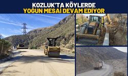 Kozluk’ta Köylerde Yoğun Mesai Devam Ediyor