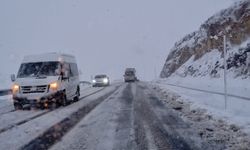 Kubbe Dağı beyaza büründü