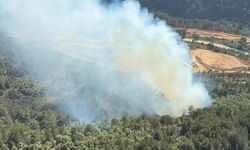 Muğla’da orman yangını