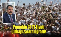 Pamukta 31 TL Fiyatı Çiftçiyi Zarara Uğrattı!