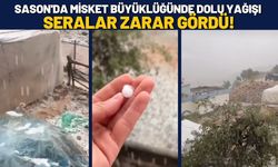 Sason'da Misket Büyüklüğünde Dolu Yağışı Seralar Zarar Gördü!