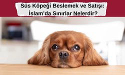 Süs Köpeği Beslemek ve Satışı: İslam’da Sınırlar Nelerdir?
