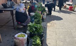 Batman’ın Fedakâr Anaları Ekmeklerini Taştan Çıkarıyorlar