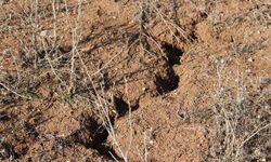 Ziraat Odası Başkanı Aydiş: Çiftçi tarlaya giremiyor, kuraklık büyük tehdit oluşturuyor