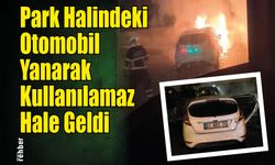 Park Halindeki Otomobil Yanarak Kullanılamaz Hale Geldi