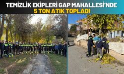 Temizlik Ekipleri Gap Mahallesi’nde 5 Ton Atık Topladı