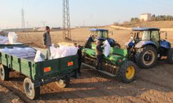 Batman'da buğday ekimine başlayan çiftçi kuraklık endişesi yaşıyor