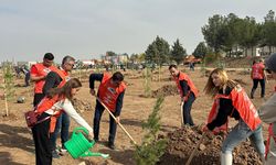 Batman’da 1280 Fidan Toprakla Buluştu