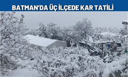 Batman’da Üç İlçede Kar Tatili