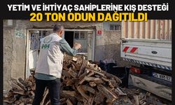 Batman’dan Yetim ve İhtiyaç Sahiplerine Kış Desteği: 20 Ton Odun Dağıtıldı