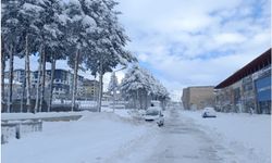 Bitlis’te hayat durdu, kırsal alanlarla iletişim kesildi