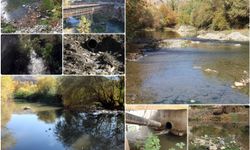 Çermikliler: Yıllarca ilçenin su kaynağı olan sinek çayı şimdi çevreye hastalık yayıyor