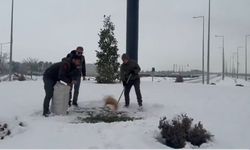 Batman'da Yaban Hayatına Can Suyu