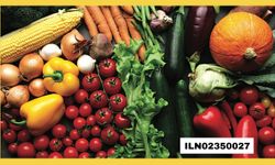 BATMAN M TİPİ KAPALI CEZA İNFAZ KURUMU MÜDÜRLÜĞÜ GIDA ÜRÜNLERİ SATIN ALACAK