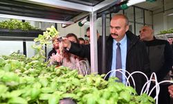 Vali Canalp, Topraksız Tarım Tesisinde İncelemelerde Bulundu
