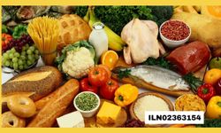 BATMAN AÇIK CEZAEVİ MÜDÜRLÜĞÜ GIDA ÜRÜNLERİ SATIN ALACAK