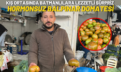 Kış Ortasında Batmanlılara Lezzetli Sürpriz: Hormonsuz Balpınar Domatesi