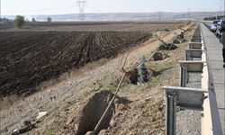 Batman’a Nefes Aldıracak Proje: 15 Bin Fidanla Yeşil Kuşak Oluşuyor