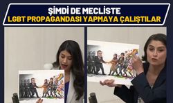 Şimdi de Mecliste LGBT Propagandası Yapmaya Çalıştılar