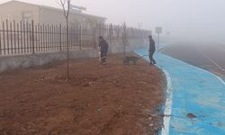 Sürücü Akademisi Yeşilleniyor